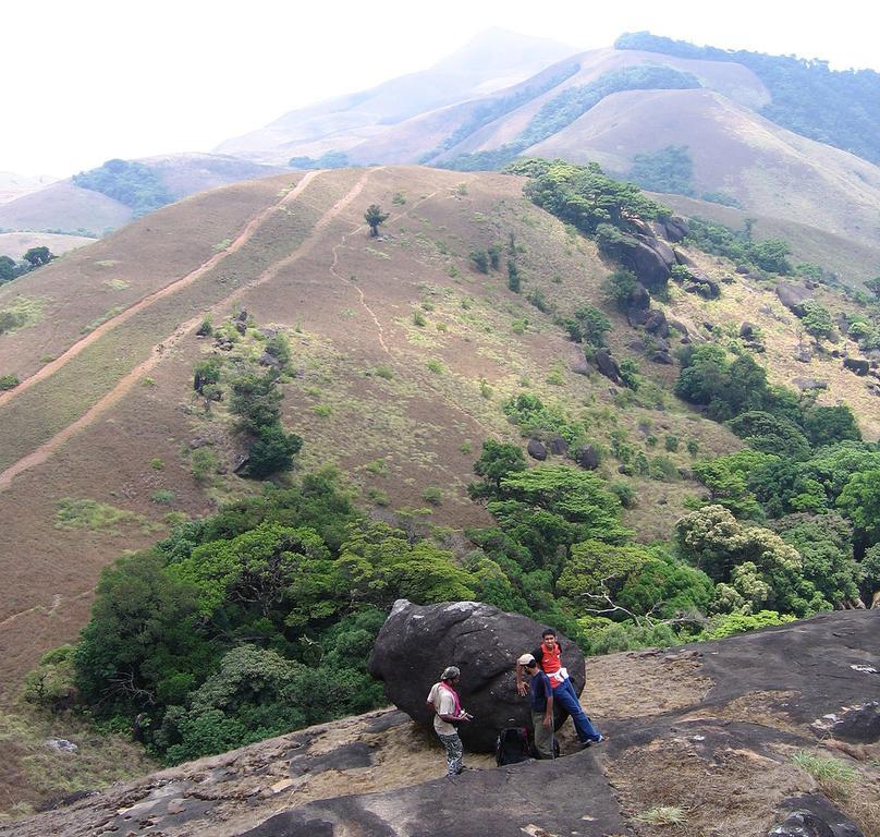 מאננטהוואדי Wayanad Gate Resort מראה חיצוני תמונה