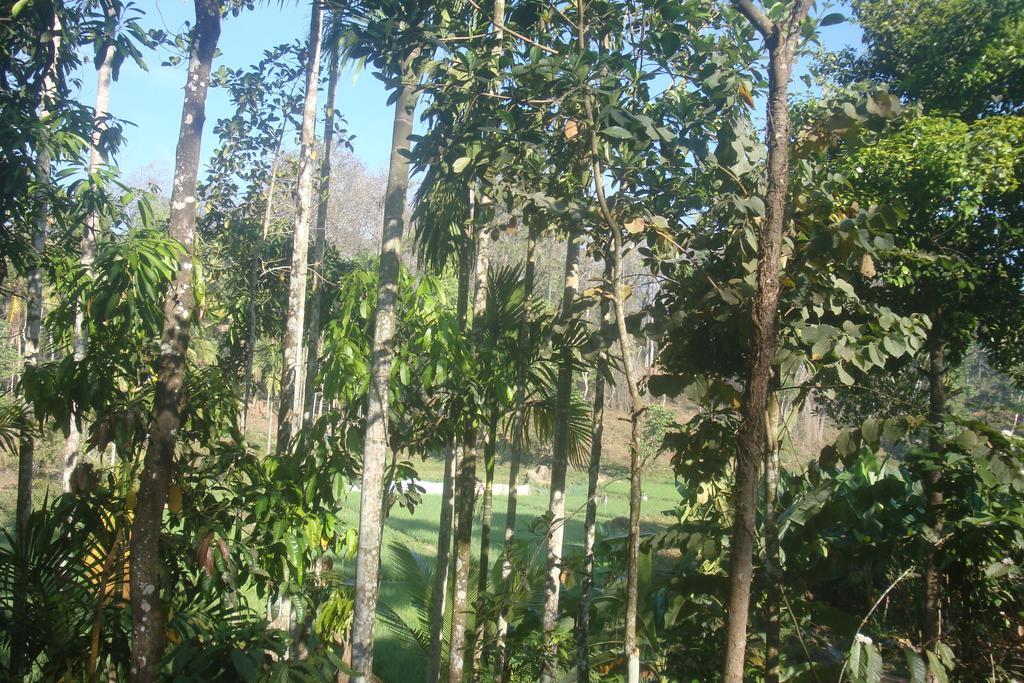 מאננטהוואדי Wayanad Gate Resort מראה חיצוני תמונה