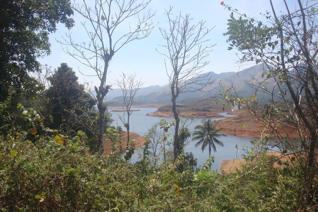 מאננטהוואדי Wayanad Gate Resort מראה חיצוני תמונה