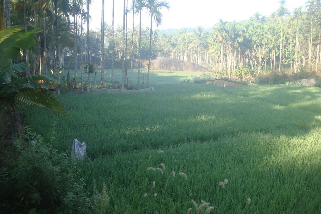 מאננטהוואדי Wayanad Gate Resort מראה חיצוני תמונה