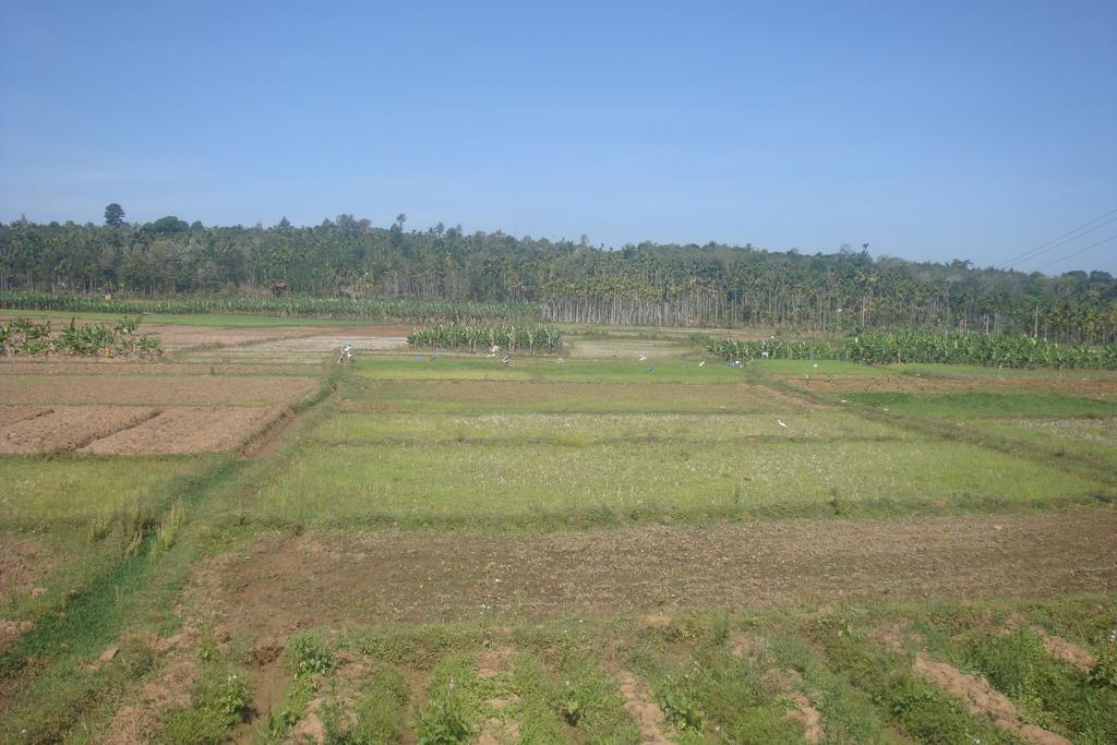מאננטהוואדי Wayanad Gate Resort מראה חיצוני תמונה