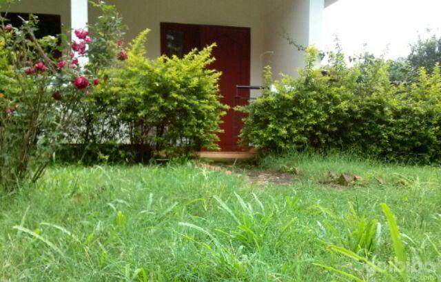 מאננטהוואדי Wayanad Gate Resort מראה חיצוני תמונה